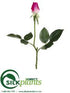 Silk Plants Direct Rose Bud Spray - Beauty - Pack of 12