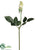 Rose Bud Spray - White Green - Pack of 12