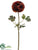 Ranunculus Spray - Brown - Pack of 12