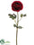 Ranunculus Spray - Red - Pack of 12