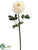 Ranunculus Spray - Yellow - Pack of 12