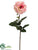 Rose Spray - Cream Pink - Pack of 12