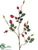 Rose Hip Spray - Red - Pack of 24