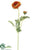 Ranunculus Spray - Orange - Pack of 12