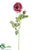 Ranunculus Spray - Pink - Pack of 12