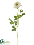 Silk Plants Direct Ranunculus Spray - White - Pack of 12