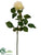 Confetti Rose Spray - Cream Green - Pack of 12