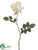 Tall Rose Bud Spray - Cream White - Pack of 24