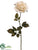 Rose Spray - Vanilla - Pack of 12