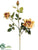 Rose Spray - Yellow Rust - Pack of 12