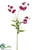 Sweet Pea Spray - Violet - Pack of 12