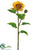 Sunflower Spray - Yellow - Pack of 6