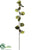 Smilax Spray - Green - Pack of 12