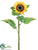 Sunflower Spray - Yellow - Pack of 12