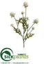 Silk Plants Direct Straw Flower Spray - White - Pack of 12