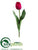 Tulip Spray - Red Dark - Pack of 12