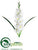 Gladiolus Spray - White - Pack of 12