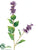 Lilac Spray - Lavender - Pack of 12