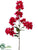 Bougainvillea Spray - Beauty - Pack of 6