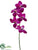 Vanda Orchid Spray - Orchid - Pack of 12