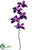 Vanda Orchid Spray - Violet - Pack of 12