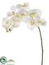 Silk Plants Direct Phalaenopsis Orchid Spray - Cream - Pack of 6