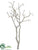 Manzanita Branch - Pearl - Pack of 4