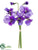 Pansy Bush - Blue Violet - Pack of 12