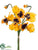 Pansy Bush - Yellow Gold - Pack of 12