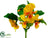 Pansy Bush - Yellow - Pack of 12