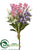 Lavender, Waxflower Bundle - White Purple - Pack of 6