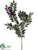 Mountain Ash Stem - Purple Green - Pack of 12