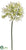 Agapanthus Spray - Cream - Pack of 12