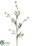 Silk Plants Direct Monte Casino Aster Spray - Cream - Pack of 12