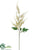 Astilbe Spray - Cream - Pack of 12