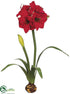 Silk Plants Direct Amaryllis - Red - Pack of 4