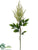 Astilbe Spray - White - Pack of 12