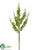 Astilbe Spray - Cream Green - Pack of 12