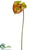 Anthurium Spray - Green Burgundy - Pack of 12