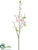 Silk Plants Direct Cherry Blossom Spray - Pink Soft - Pack of 12