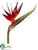 Bird of Paradise Spray - Brick Two Tone - Pack of 6