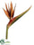 Bird of Paradise Spray - Camel Two Tone - Pack of 6