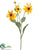 Black-Eyed Susan Spray - Yellow Gold - Pack of 12