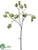 Eucalyptus Pod Spray - Green - Pack of 12