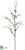 Quince Blossom Branch - Cream - Pack of 12