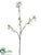 Silk Plants Direct Cherry Blossom Spray - White - Pack of 12