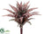 Snake Bromeliad Plant Bush - Burgundy Green - Pack of 12