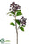 Viburnum Berry Spray - Burgundy Blue - Pack of 6