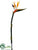 Bird of Paradise Spray - Orange - Pack of 6