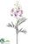 Caesalpinia Spray - Lavender Cream - Pack of 12